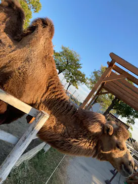 神戸どうぶつ王国に投稿された画像（2022/10/28）