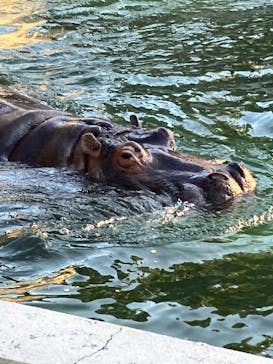 東武動物公園に投稿された画像（2022/10/28）