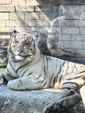 東武動物公園に投稿された画像（2022/10/28）