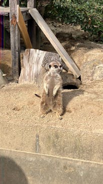 東武動物公園に投稿された画像（2022/10/28）