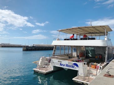 Sea World（シーワールド）に投稿された画像（2022/10/28）