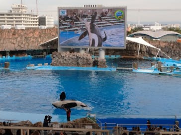 名古屋港水族館に投稿された画像（2022/10/28）