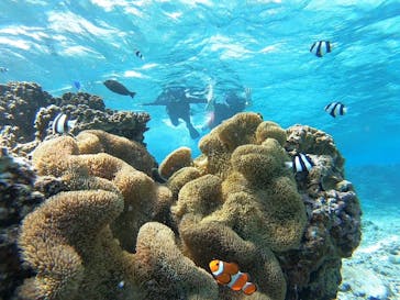 宮古島 ADVENTURE PiPi（ミヤコジマ アドベンチャー ピピ）に投稿された画像（2022/10/28）