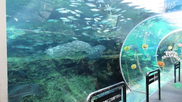 九十九島水族館海きららに投稿された画像（2022/10/28）