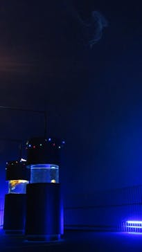 九十九島水族館海きららに投稿された画像（2022/10/28）