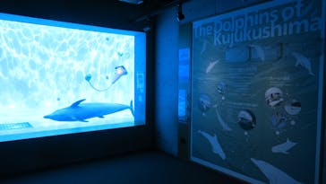 九十九島水族館海きららに投稿された画像（2022/10/28）