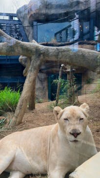 沖縄こどもの国に投稿された画像（2022/10/28）