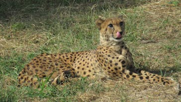 九十九島動植物園森きららに投稿された画像（2022/10/28）