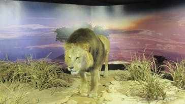 九十九島動植物園森きららに投稿された画像（2022/10/28）