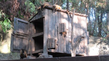 長崎バイオパークに投稿された画像（2022/10/29）