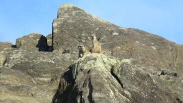 長崎バイオパークに投稿された画像（2022/10/29）