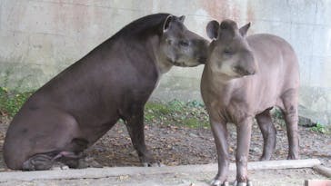 長崎バイオパークに投稿された画像（2022/10/29）