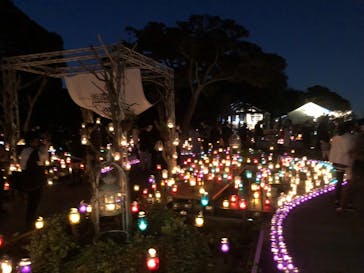 江の島シーキャンドルに投稿された画像（2022/10/29）