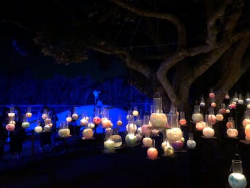 江の島シーキャンドルに投稿された画像（2022/10/29）