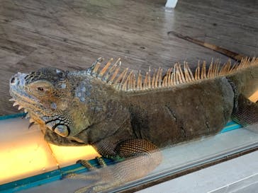 Moff animal cafe iias つくば店に投稿された画像（2022/10/29）