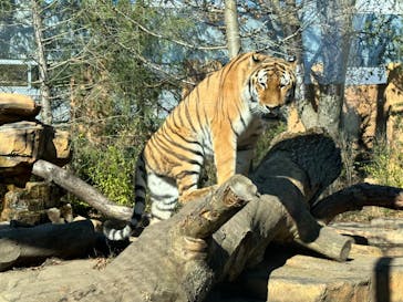 那須どうぶつ王国に投稿された画像（2022/10/29）