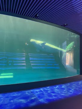 島根県立 しまね海洋館に投稿された画像（2022/10/29）