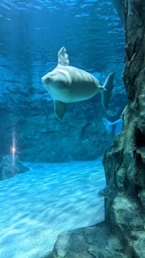 名古屋港水族館に投稿された画像（2022/10/29）