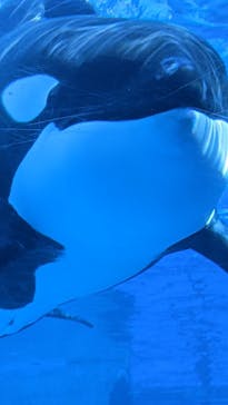 名古屋港水族館に投稿された画像（2022/10/29）