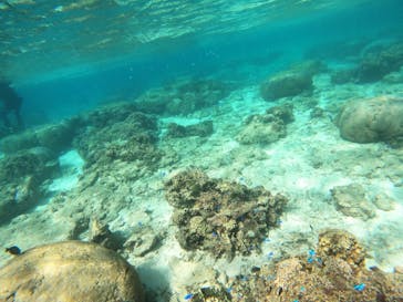 沖縄マリンサービス碧に投稿された画像（2022/10/29）