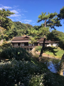 三溪園に投稿された画像（2022/10/29）