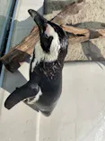 仙台うみの杜水族館に投稿された画像（2022/10/29）