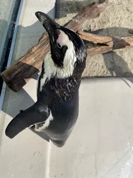 仙台うみの杜水族館に投稿された画像（2022/10/29）