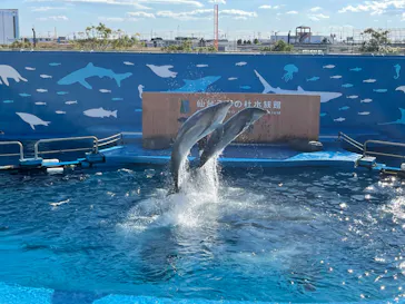 仙台うみの杜水族館に投稿された画像（2022/10/29）