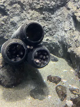 仙台うみの杜水族館に投稿された画像（2022/10/29）
