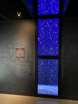 国立科学博物館に投稿された画像（2022/10/29）