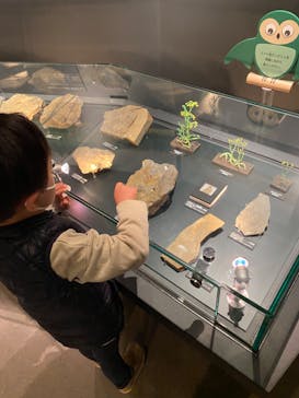 国立科学博物館に投稿された画像（2022/10/29）