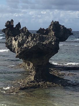 おきなわワールドに投稿された画像（2022/10/29）