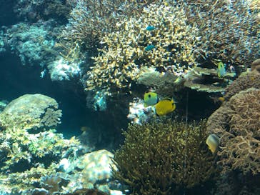 おきなわワールドに投稿された画像（2022/10/29）