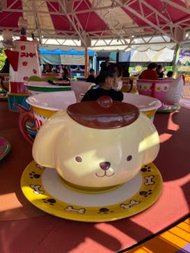 日本モンキーパークに投稿された画像（2022/10/29）