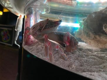 ゼロ距離水族館 伊勢シーパラダイスに投稿された画像（2022/10/29）