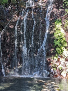 箱根湯本温泉 天成園に投稿された画像（2022/10/29）