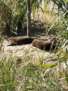 神戸どうぶつ王国に投稿された画像（2022/10/29）