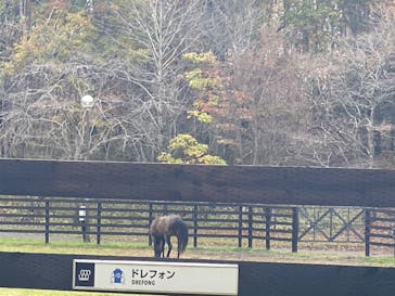 ノーザンホースパークに投稿された画像（2022/10/29）