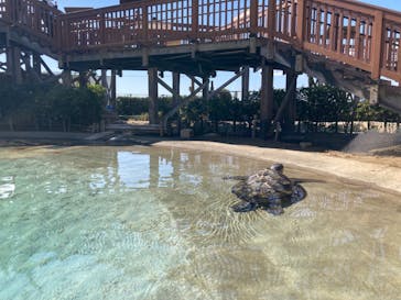 新江ノ島水族館に投稿された画像（2022/10/29）