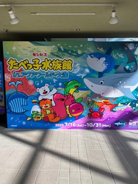 アクアワールド茨城県大洗水族館に投稿された画像（2022/10/29）