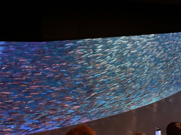 登別マリンパークニクスに投稿された画像（2022/10/29）