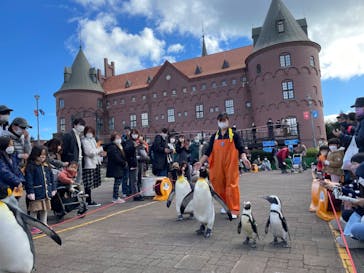 登別マリンパークニクスに投稿された画像（2022/10/29）