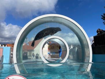 登別マリンパークニクスに投稿された画像（2022/10/29）