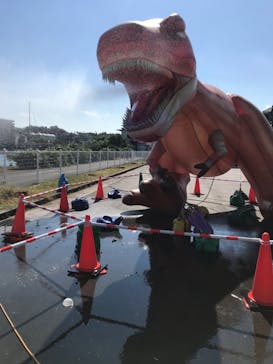 浜名湖パルパルに投稿された画像（2022/10/29）