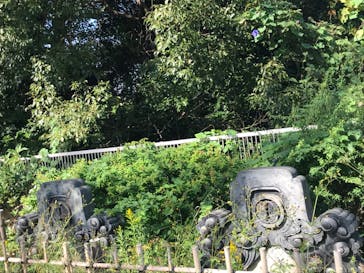 浜名湖パルパルに投稿された画像（2022/10/29）