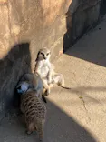 よこはま動物園ズーラシアに投稿された画像（2022/10/29）