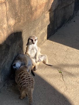 よこはま動物園ズーラシアに投稿された画像（2022/10/29）