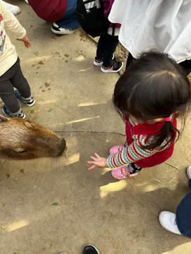 神戸どうぶつ王国に投稿された画像（2022/10/29）