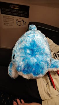 京都水族館に投稿された画像（2022/10/29）