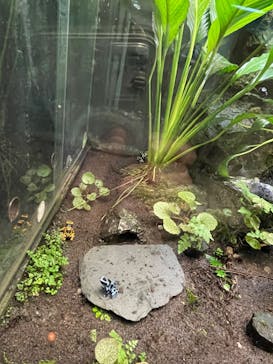 サンシャイン水族館に投稿された画像（2022/10/29）